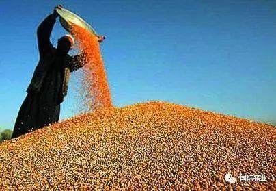 受新冠疫情和非洲猪瘟影响,预计2020年中国猪肉进口将创新高!