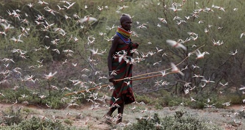外媒：新冠疫情加重全球饥饿状况 10亿人面临饿饭