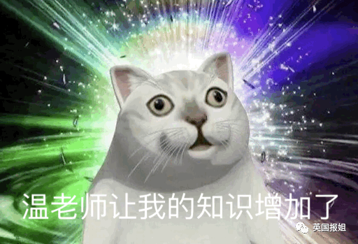 从美股熔断到经济危机，认真起来的财经人，连屈原吃甜咸都能推断出来