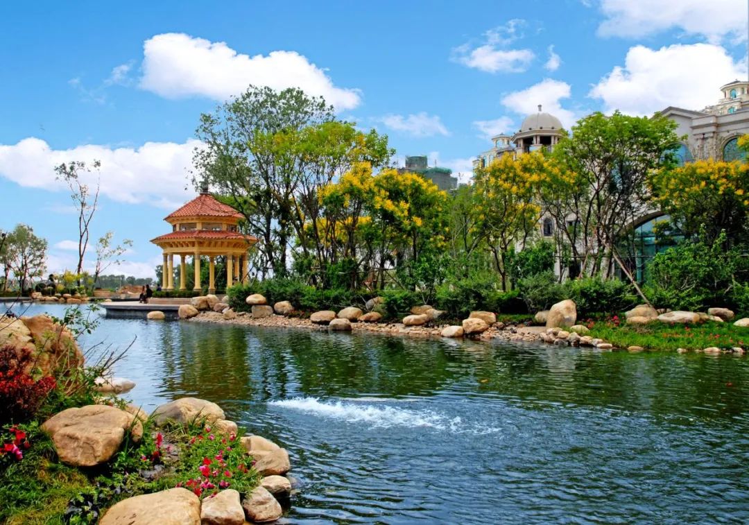 2020年才过1/4：美股熔断、奥运延期...此时我们可以这样做！