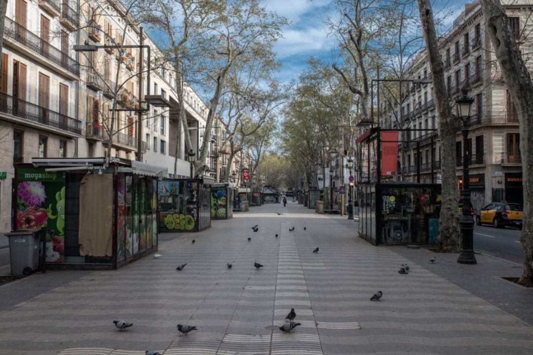 2020才过了1/4：高考延期、奥运会推迟、美股熔断、全民戴口罩……见证历史！