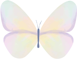 2020才过了1/4：高考延期、奥运会推迟、美股熔断、全民戴口罩……见证历史！