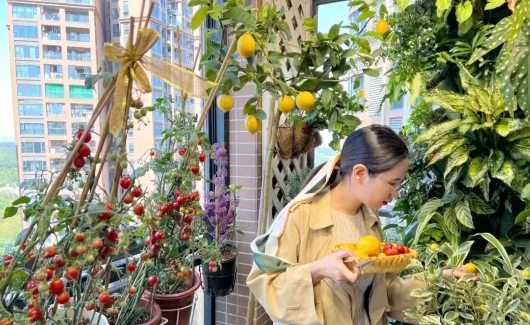 第一批“居家种菜”的“90后”，已经成了“蔬果大户”……