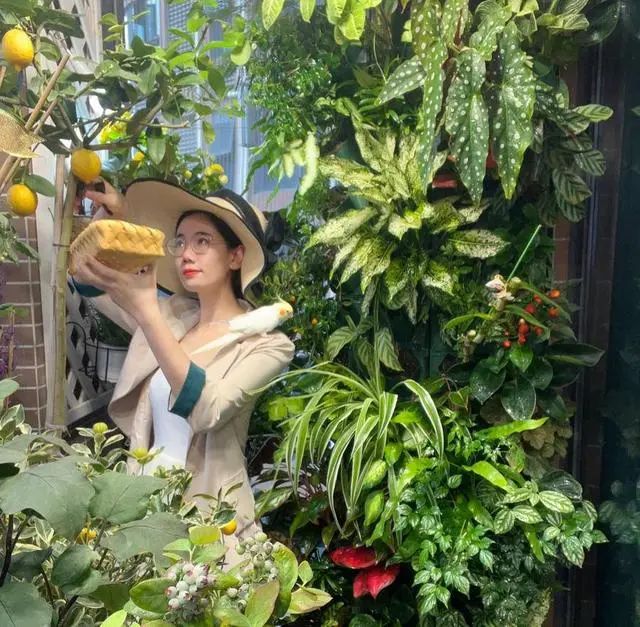 第一批“居家种菜”的“90后”，已经成了“蔬果大户”……