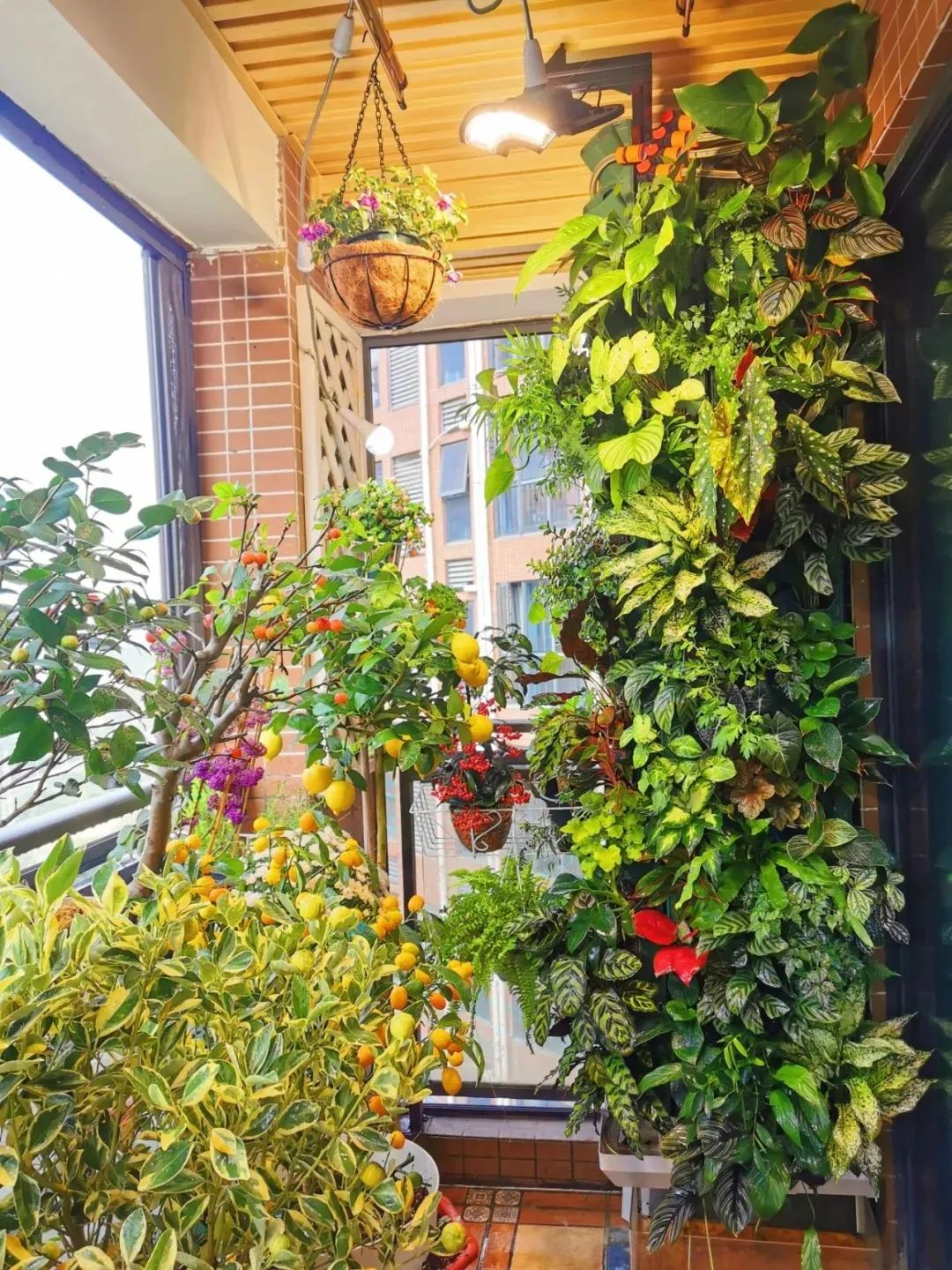 第一批“居家种菜”的“90后”，已经成了“蔬果大户”……