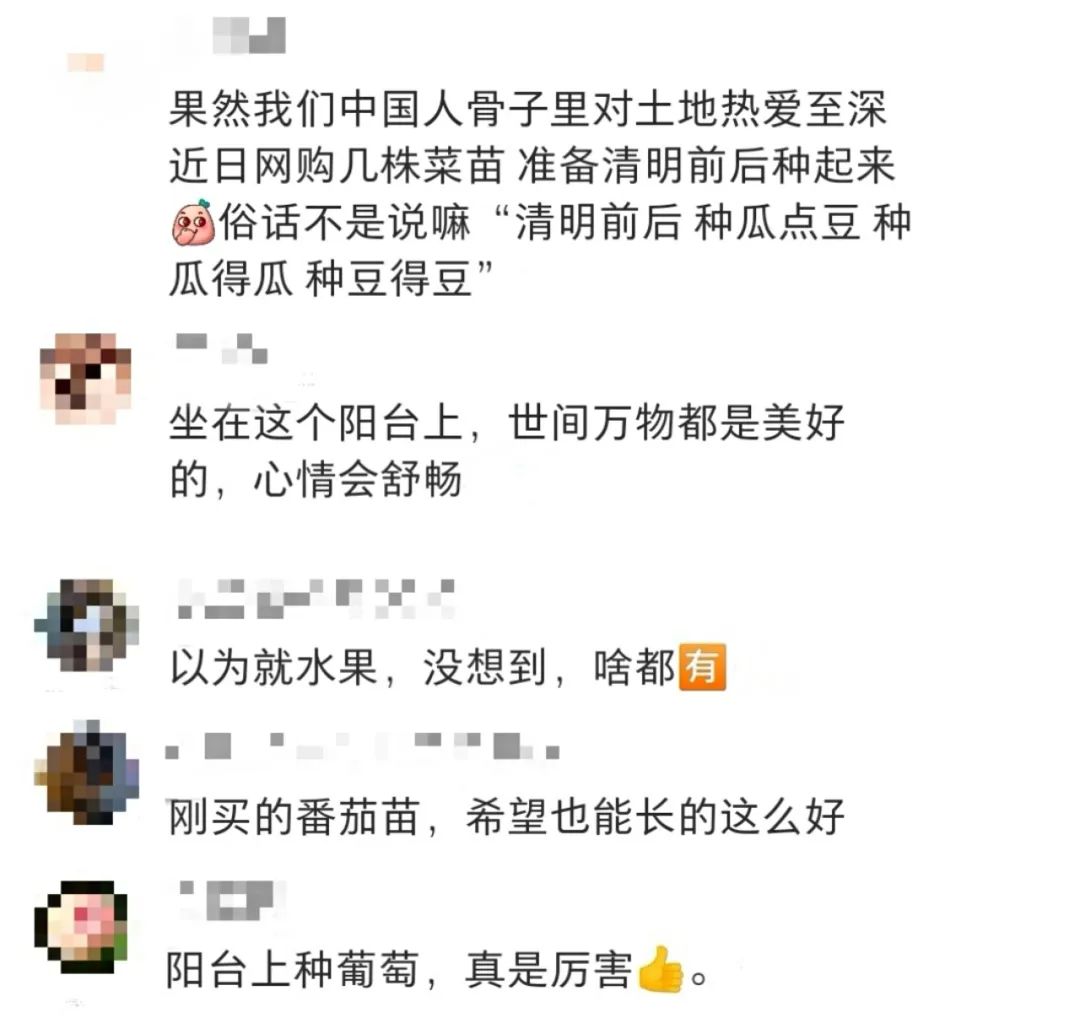 第一批“居家种菜”的“90后”，已经成了“蔬果大户”……