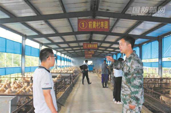 山东省禹城市打造高素质农村基层党组织带头人队伍纪事