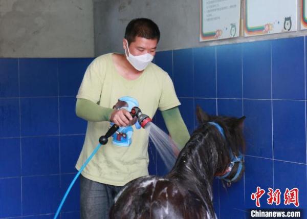 疫情下的动物园：闭园不停工 动物度夏有“凉方”