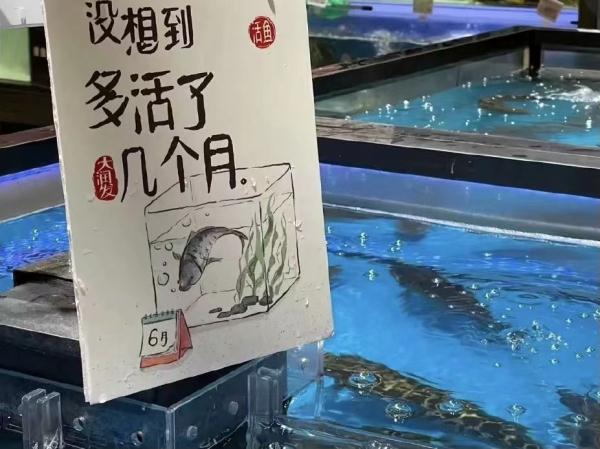 “超市顶流”or“冷宫蔬菜”，哪个才是你的心头爱？