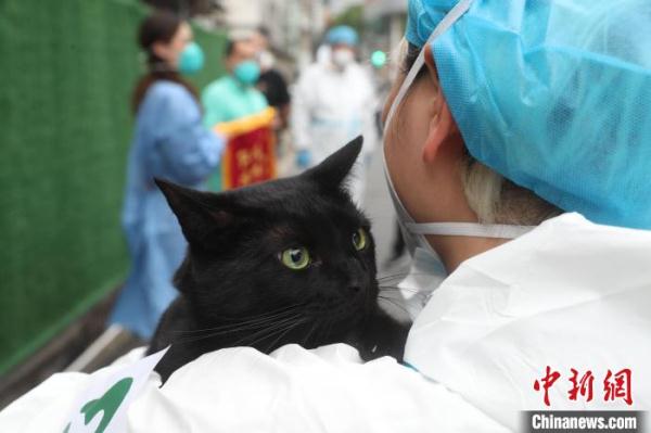 上海“动物方舱”负责人翟江：“毛孩子”让我找到新目标