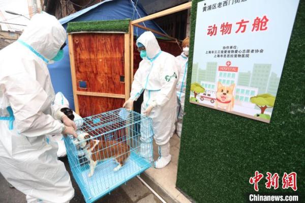 上海“动物方舱”负责人翟江：“毛孩子”让我找到新目标