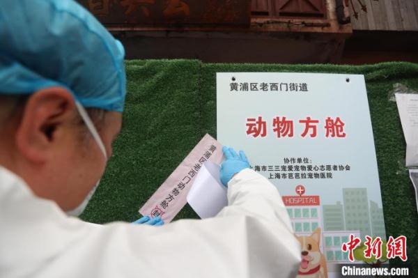 上海“动物方舱”负责人翟江：“毛孩子”让我找到新目标