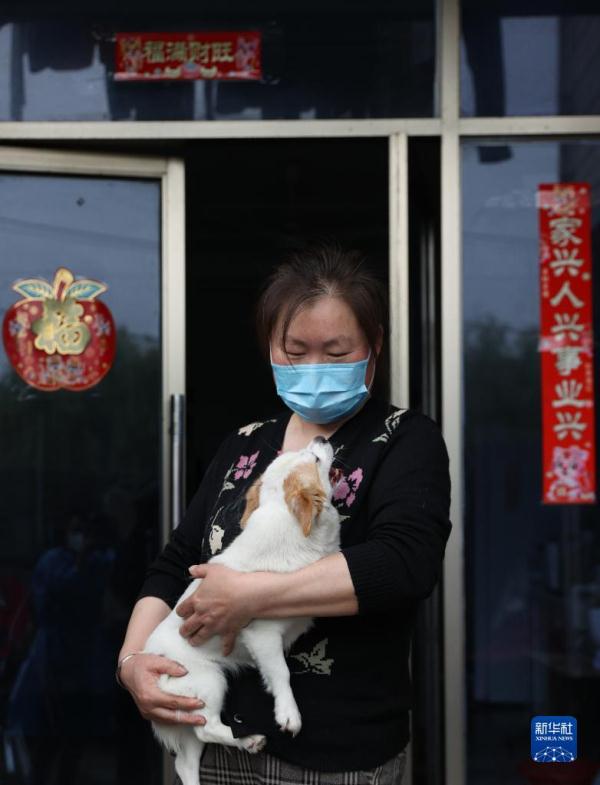 走进北蔡：宠物小屋