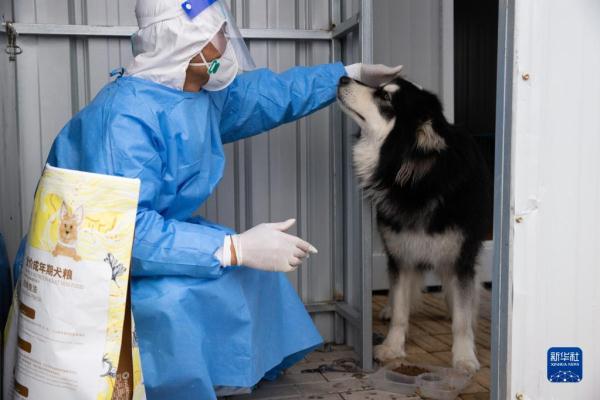 走进北蔡：宠物小屋