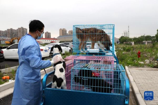 走进北蔡：宠物小屋
