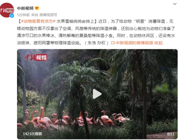 动物“明星”降温有凉方,水果雪糕统统安排上! 动物“明星”降温有凉方,水果雪糕统统安排上!