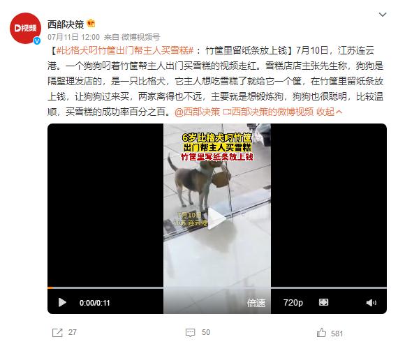 狗子叼竹筐到商店给主人买雪糕 成功率100% 狗子叼竹筐到商店给主人买雪糕 成功率100%