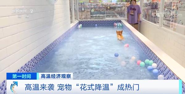 绕开“雪糕刺客” 今年这些清凉新趋势你get了吗？