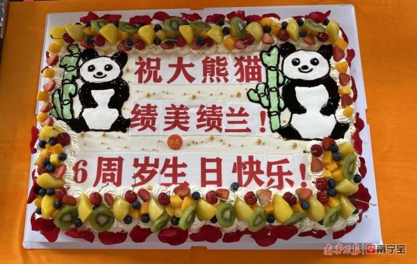 萌翻全场！南宁市动物园的双胞胎“寿星”绩美绩兰六岁啦