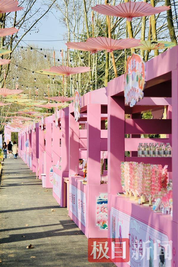 100多种产品琳琅满目，武汉东湖樱花文创市集受热捧