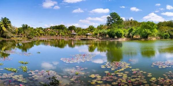 漫步北京——雪舞的时分迎冬奥赏冰雪主题游线路