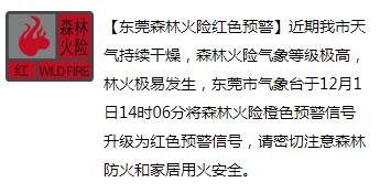 今日大雪，东莞人的“凡尔晒”刷屏了！