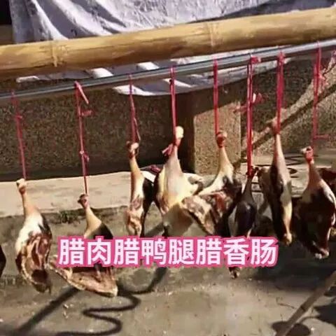 今日大雪，东莞人的“凡尔晒”刷屏了！