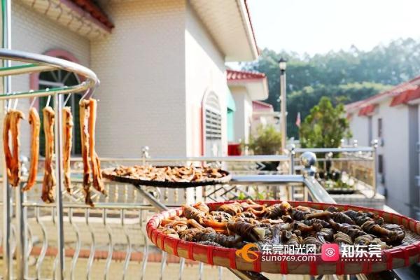 今日大雪，东莞人的“凡尔晒”刷屏了！