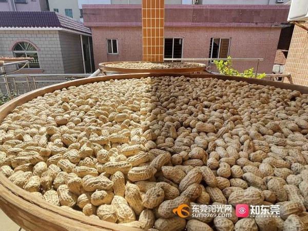 今日大雪，东莞人的“凡尔晒”刷屏了！