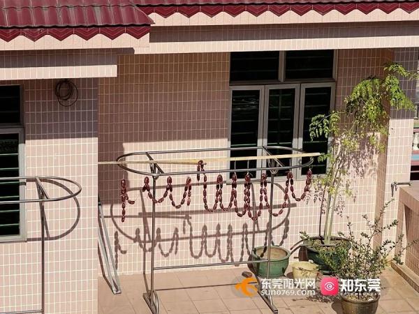 今日大雪，东莞人的“凡尔晒”刷屏了！