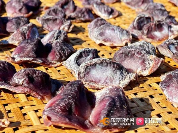 今日大雪，东莞人的“凡尔晒”刷屏了！