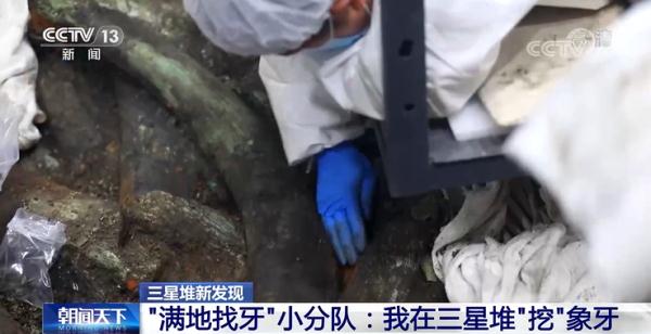 文保人员变身“牙科大夫”？三星堆有个“满地找牙”小分队→