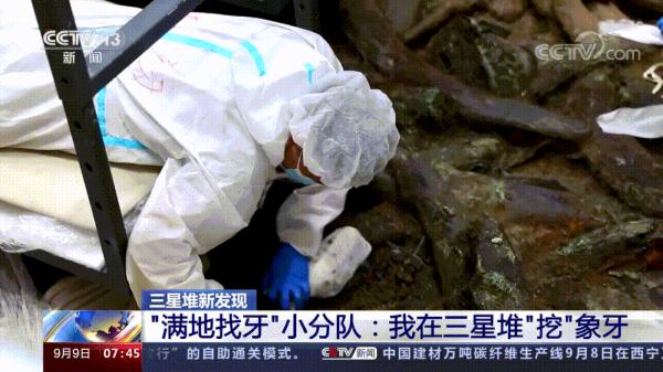 文保人员变身“牙科大夫”？三星堆有个“满地找牙”小分队→