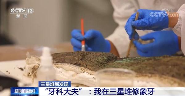 文保人员变身“牙科大夫”？三星堆有个“满地找牙”小分队→