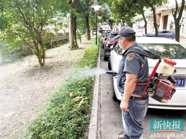 广州一小区惊现十几条眼镜蛇！尽量别去这些区域！