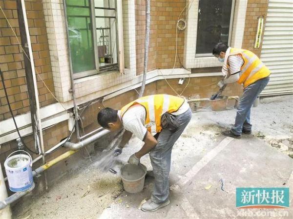 广州一小区出现十余条眼镜蛇！有的爬到楼门外，有的被业主踩到……专家提醒→