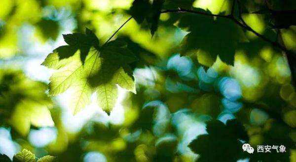 高温不减  小心雷雨出没