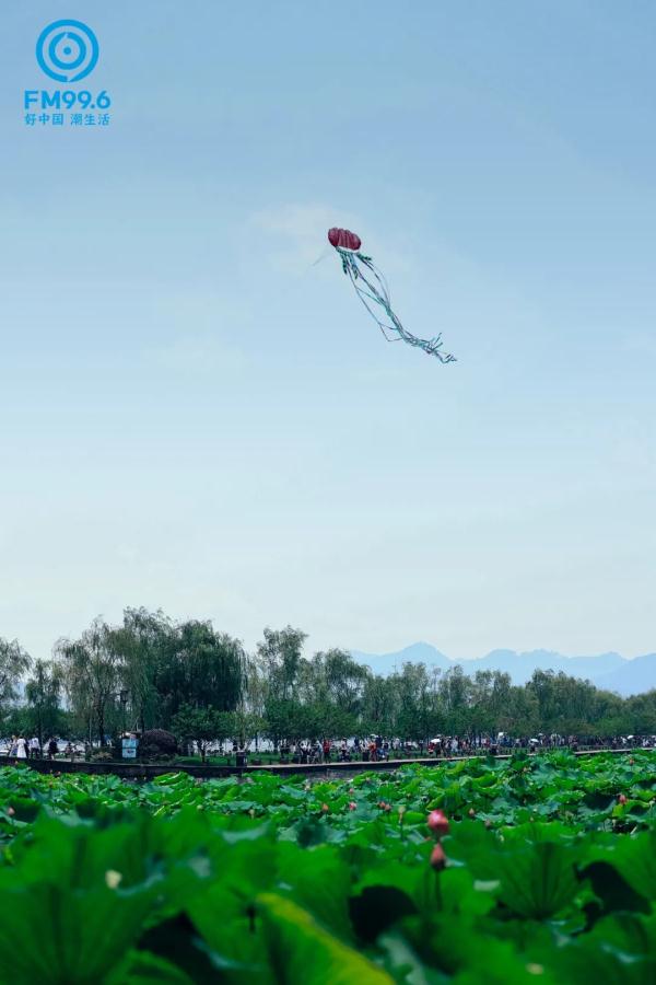 今日小暑，宜读诗纳凉，食“新”啦……