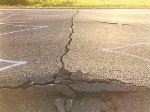 美国加拿大多地遭历史性热浪侵袭 美国加拿大多地遭历史性热浪侵袭