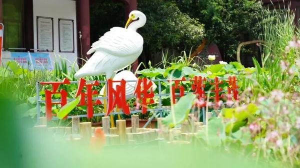 武汉惊现罕见双心莲！还有一大波新奇荷花你见过吗？