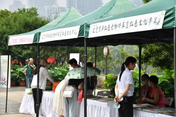 武汉惊现罕见双心莲！还有一大波新奇荷花你见过吗？