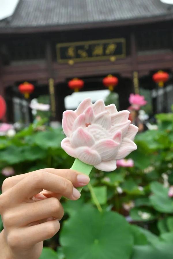 武汉惊现罕见双心莲！还有一大波新奇荷花你见过吗？