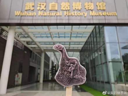 武汉景区雪糕大赏,炎炎夏日你馋了吗? 武汉景区雪糕大赏,炎炎夏日你馋了吗?