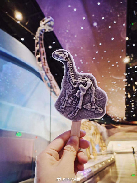 儿童免费四天！到武汉园博园过六一