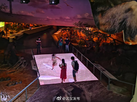 儿童免费四天！到武汉园博园过六一