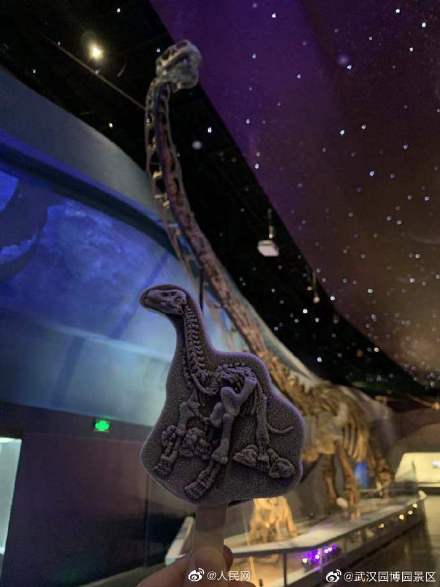 武汉园博园推马门溪龙雪糕 炎炎夏日你馋了吗？