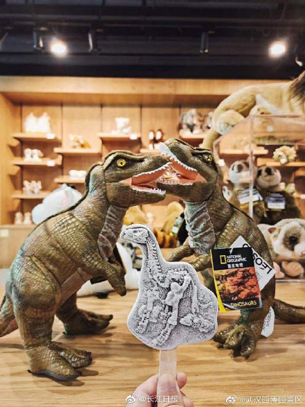 持“马门溪龙雪糕”去武汉自然博物馆打卡啦！