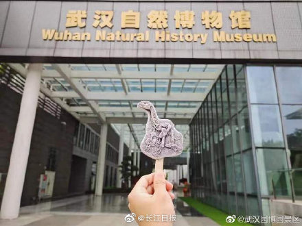 持“马门溪龙雪糕”去武汉自然博物馆打卡啦！