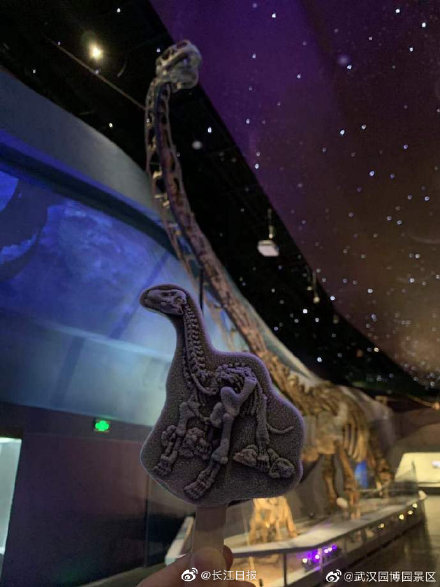 持“马门溪龙雪糕”去武汉自然博物馆打卡啦！