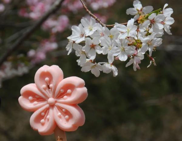 终于有机会舔“文物”了! 终于有机会舔“文物”了!
